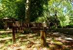 Mount Wilson