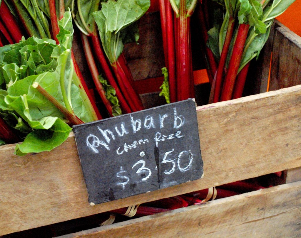 Chem Free Rhubarb