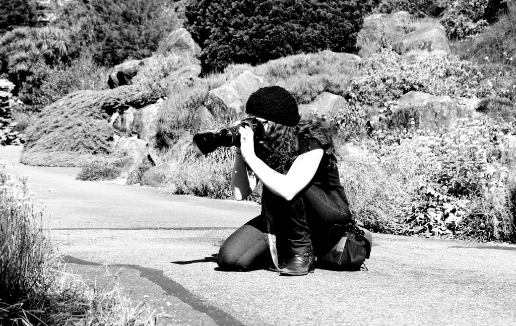 Julie Green Nature Photography Upper North Shore Sydney