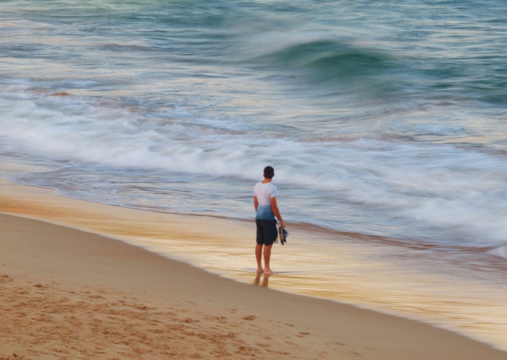 Contemplation at the Shoreline
