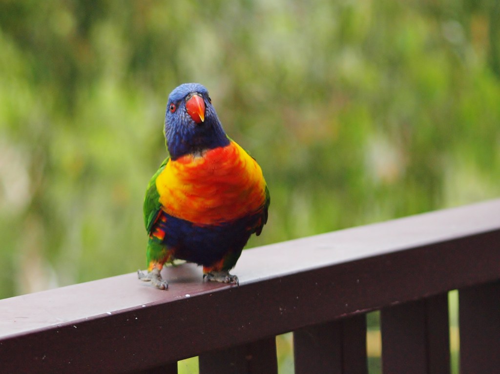 Dance like there's no tomorrow