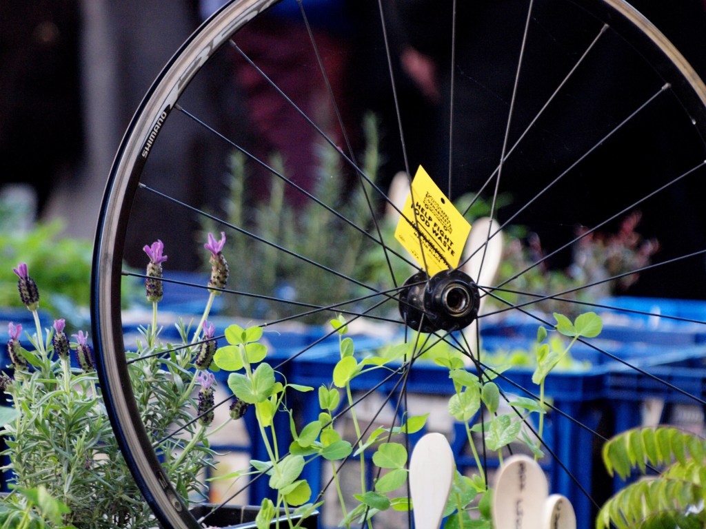 OzHarvest, Feeding the 5000