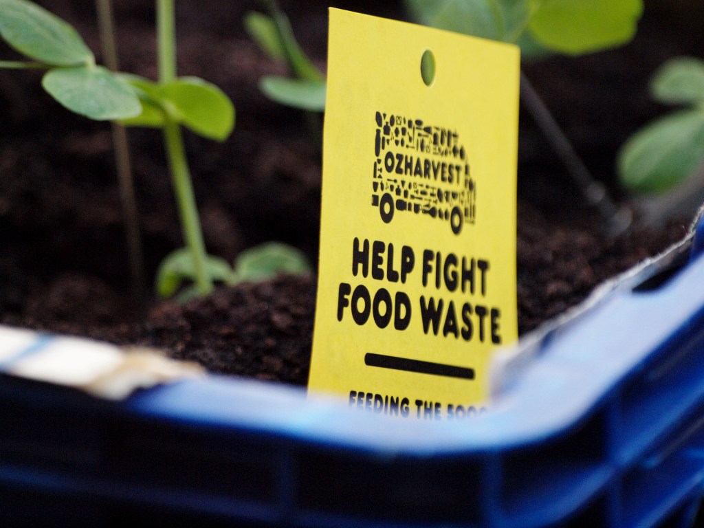 OzHarvest, Fighting food waste.