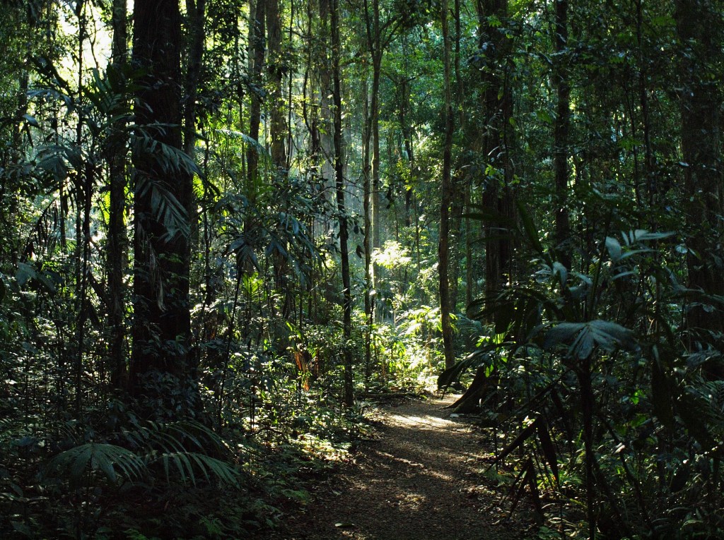 Mary Cairncross Reserve, Queensland