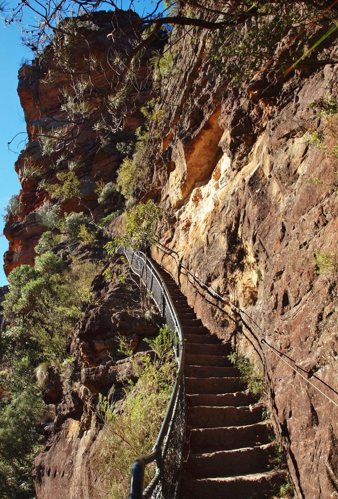 Wentworth Falls Bushwalking Hiking Blue Mountains Photography