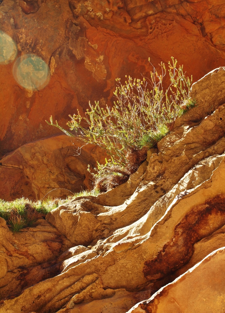 Wentworth Falls Bushwalking Hiking Blue Mountains Photography