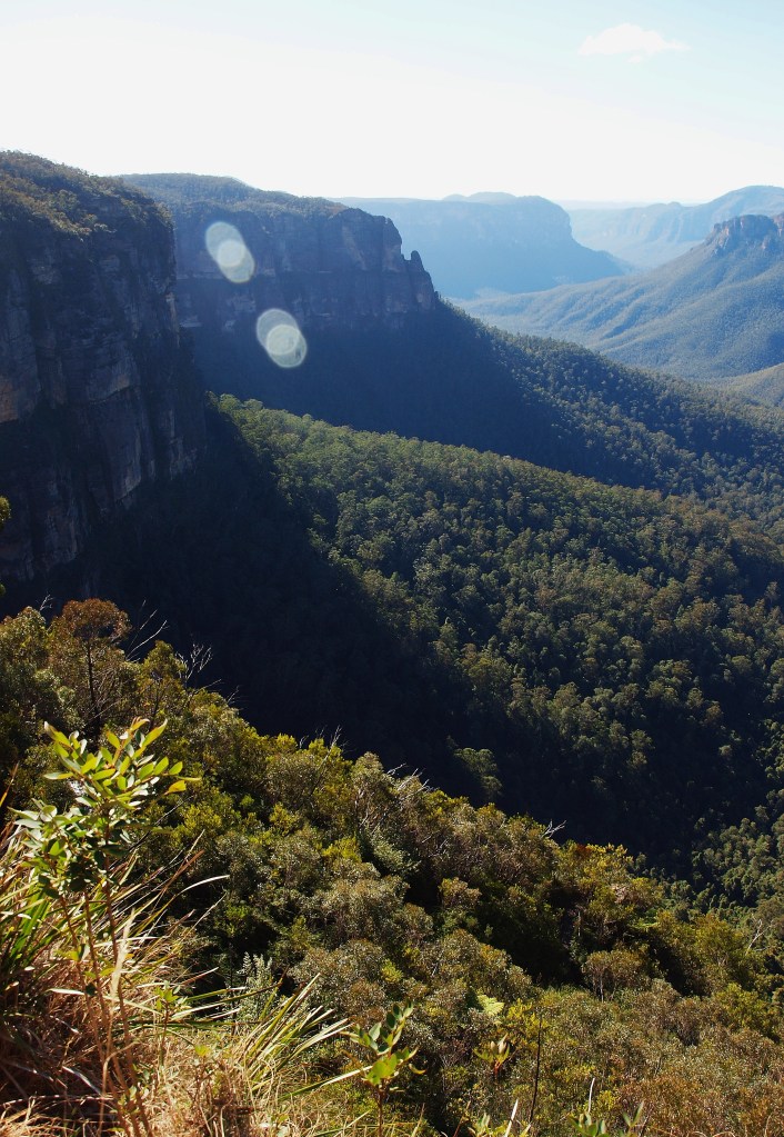 Blue Mountains Photography by Julie Green
