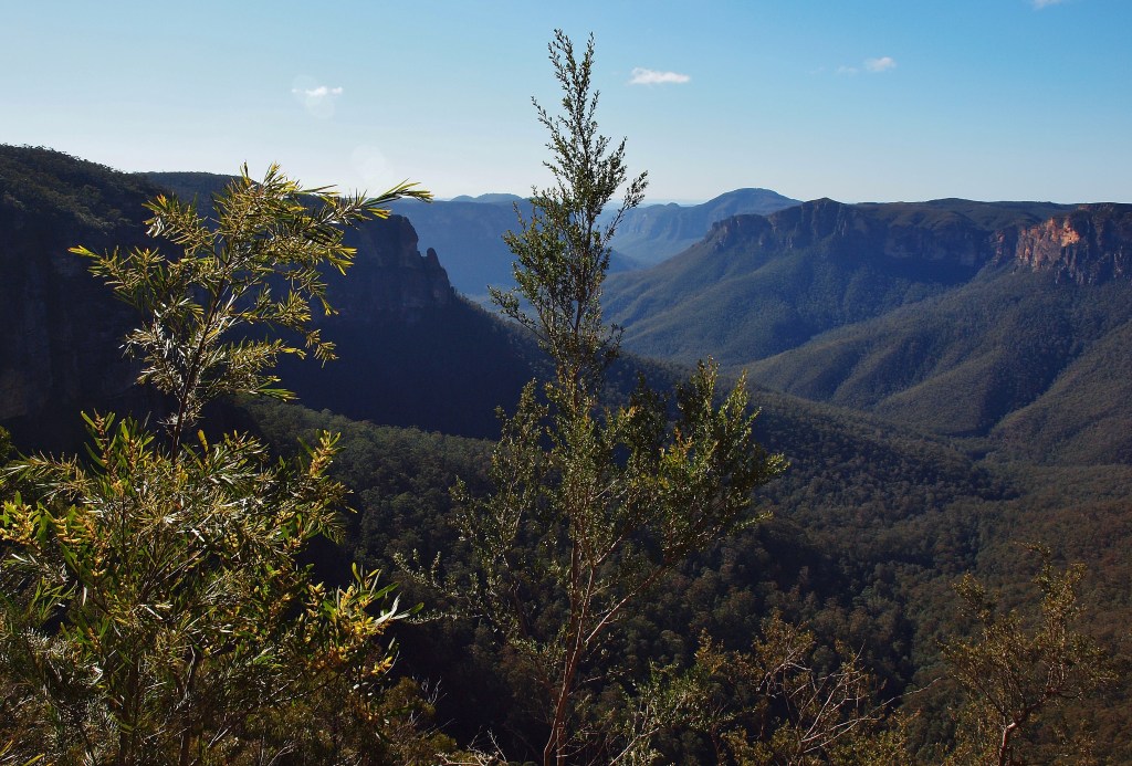 Blue Mountains Photography by Julie Green