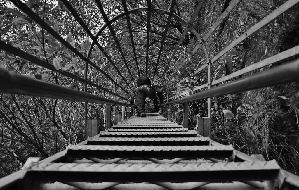 What would you do if you knew you could not fail?