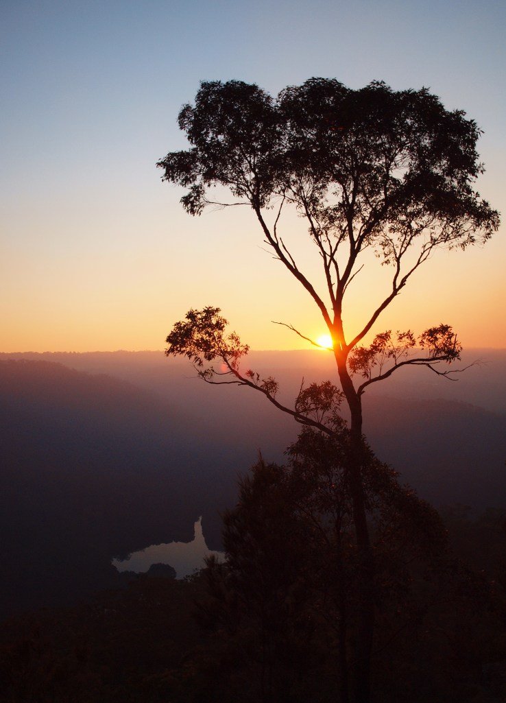 Sunset after a Hazard Reduction, Australia