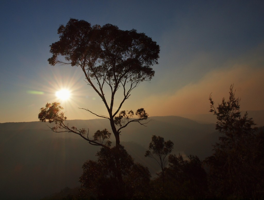 Sunset after a Hazard Reduction, Australia