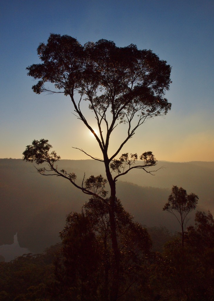 Sunset after a Hazard Reduction, Australia