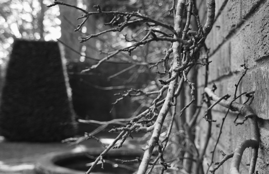 Everglades Gardens Leura