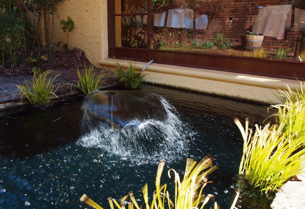 Everglades Gardens Leura