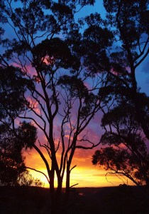 Julie Green Photography Australia