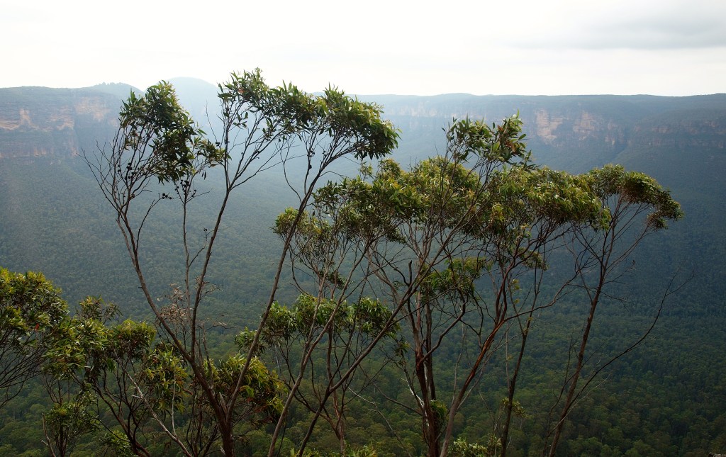 The Wonders of the Universe (Rachel&nbsp;Carson)