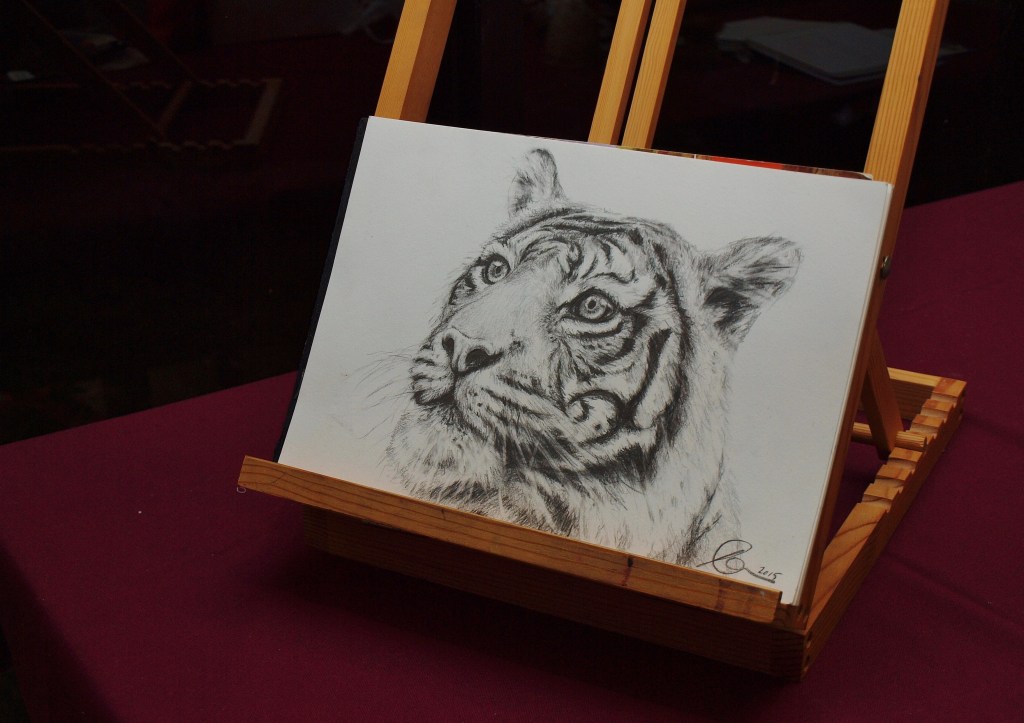 tiger drawing