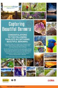 Capture Beautiful Berowra Finalists