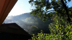 Mangrove Mountain Ashram retreat