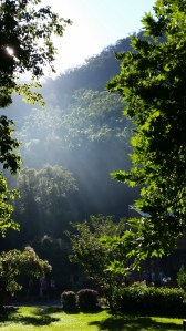 Mangrove Mountain Ashram retreat