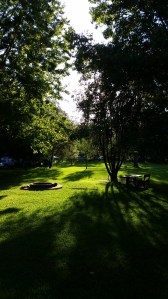 Mangrove Mountain Ashram retreat