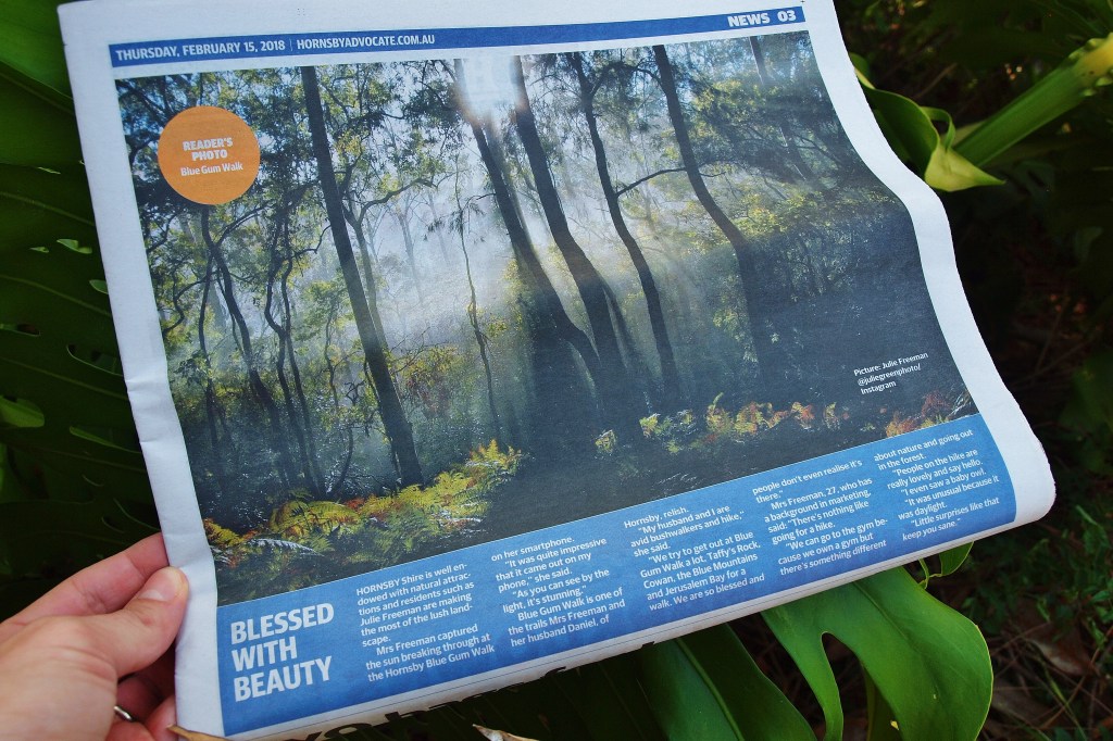 Great North Walk Nature Photography